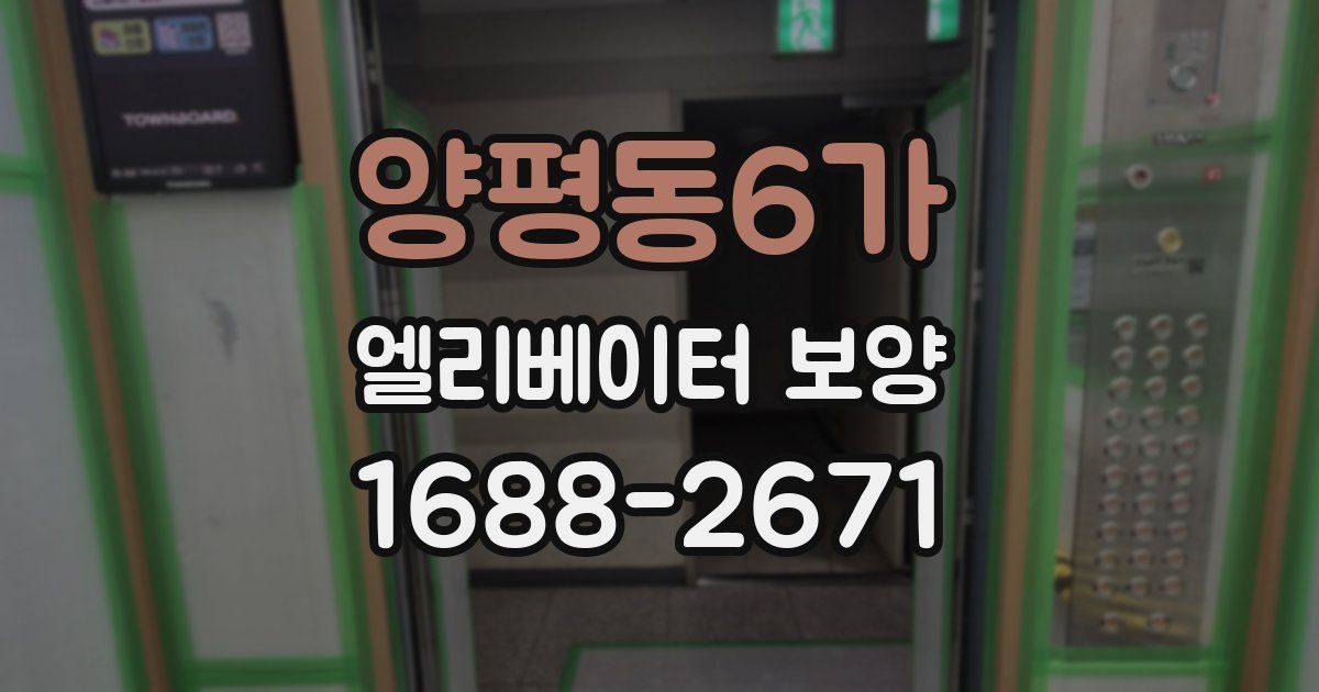양평동6가 엘리베이터 보양