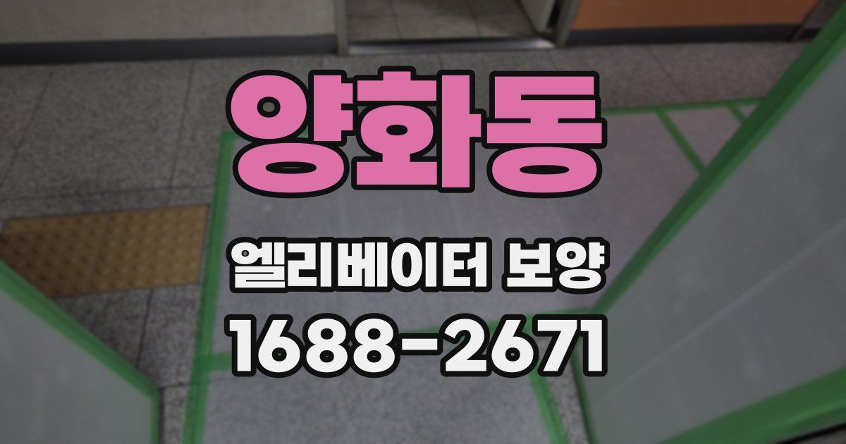 양화동 엘리베이터 보양