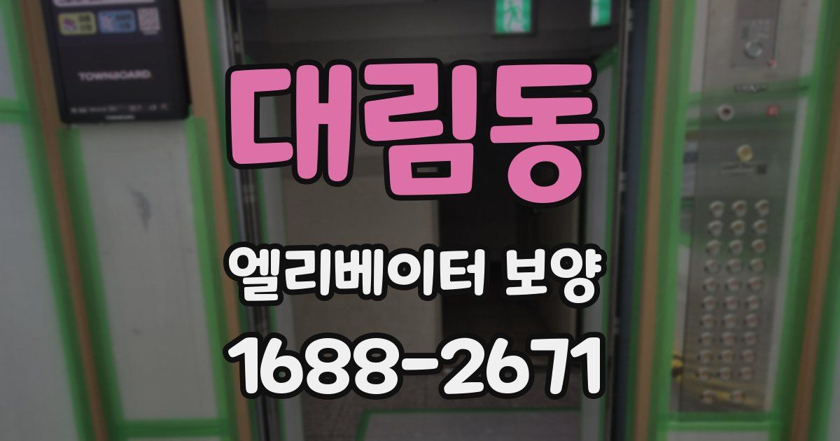 대림동 엘리베이터 보양