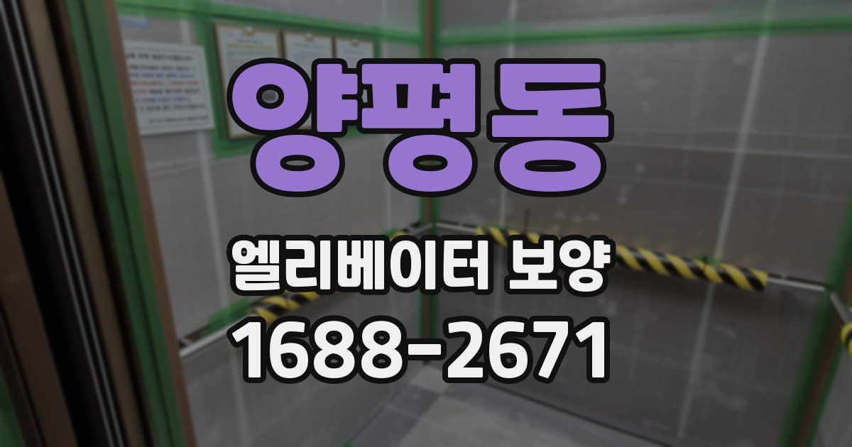 양평동 엘리베이터 보양
