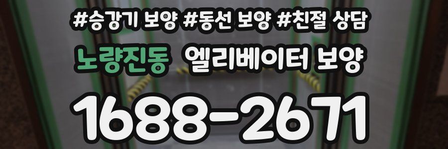 노량진동 엘리베이터 보양