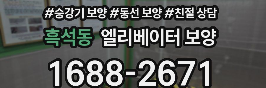 흑석동 엘리베이터 보양