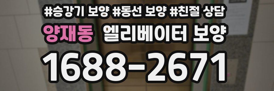 양재동 엘리베이터 보양