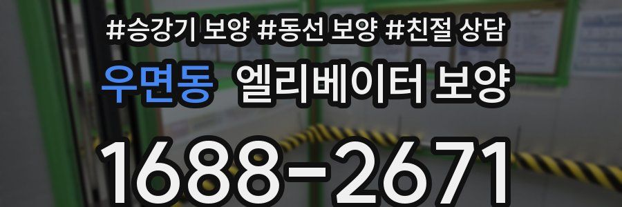 우면동 엘리베이터 보양