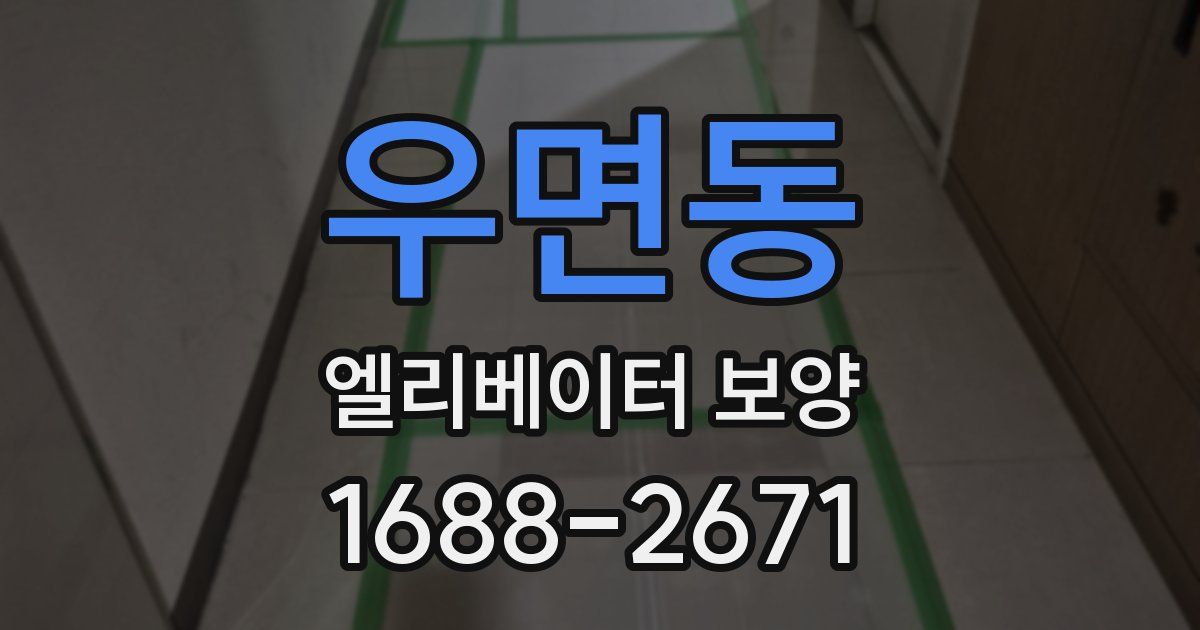우면동 엘리베이터 보양
