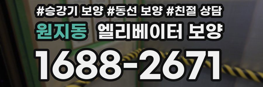 원지동 엘리베이터 보양