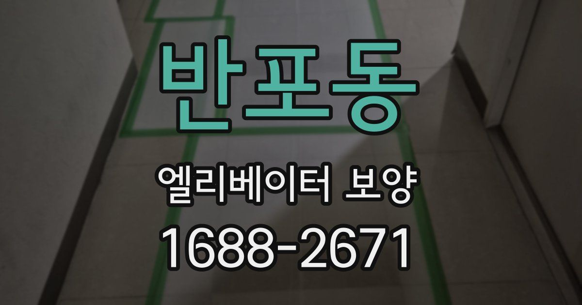 반포동 엘리베이터 보양