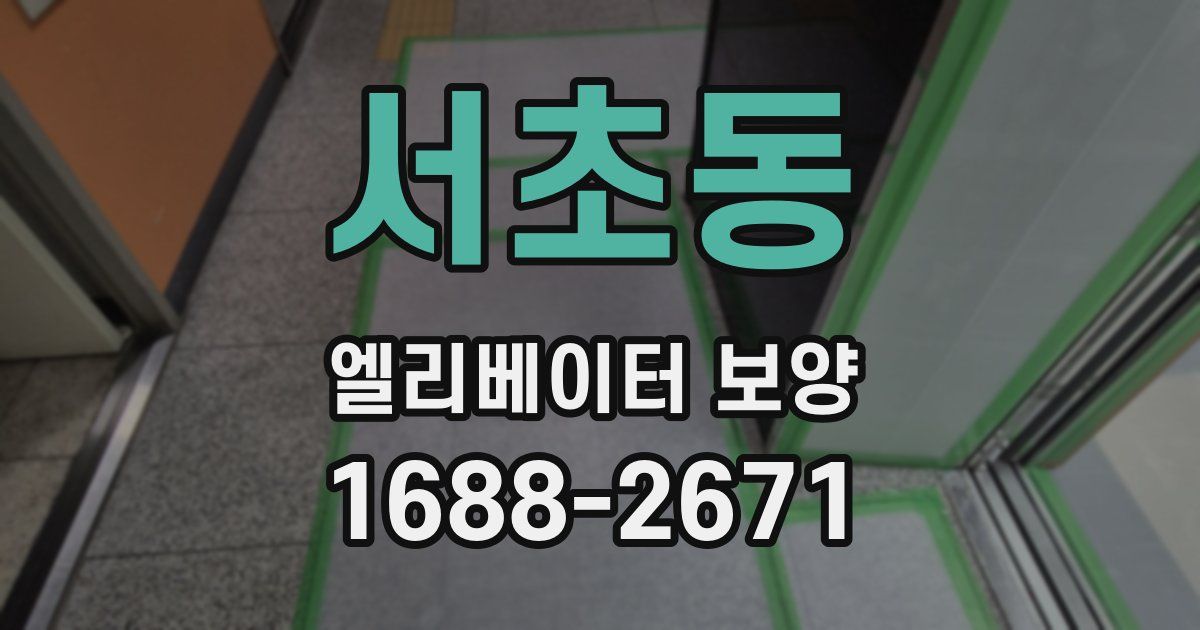 서초동 엘리베이터 보양