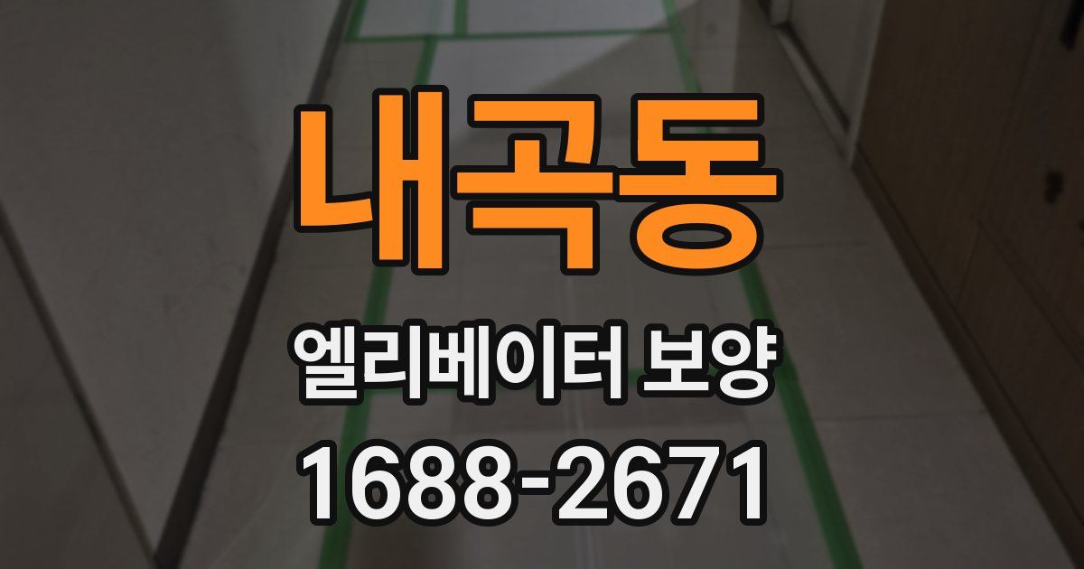내곡동 엘리베이터 보양