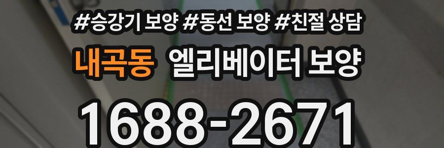 내곡동 엘리베이터 보양