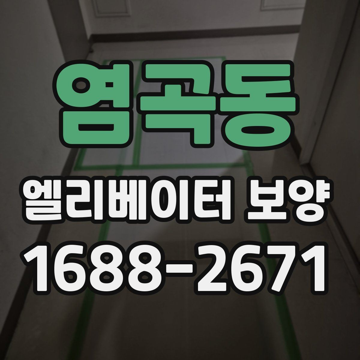 염곡동 엘리베이터 보양 비용과 자재 선택의 관계