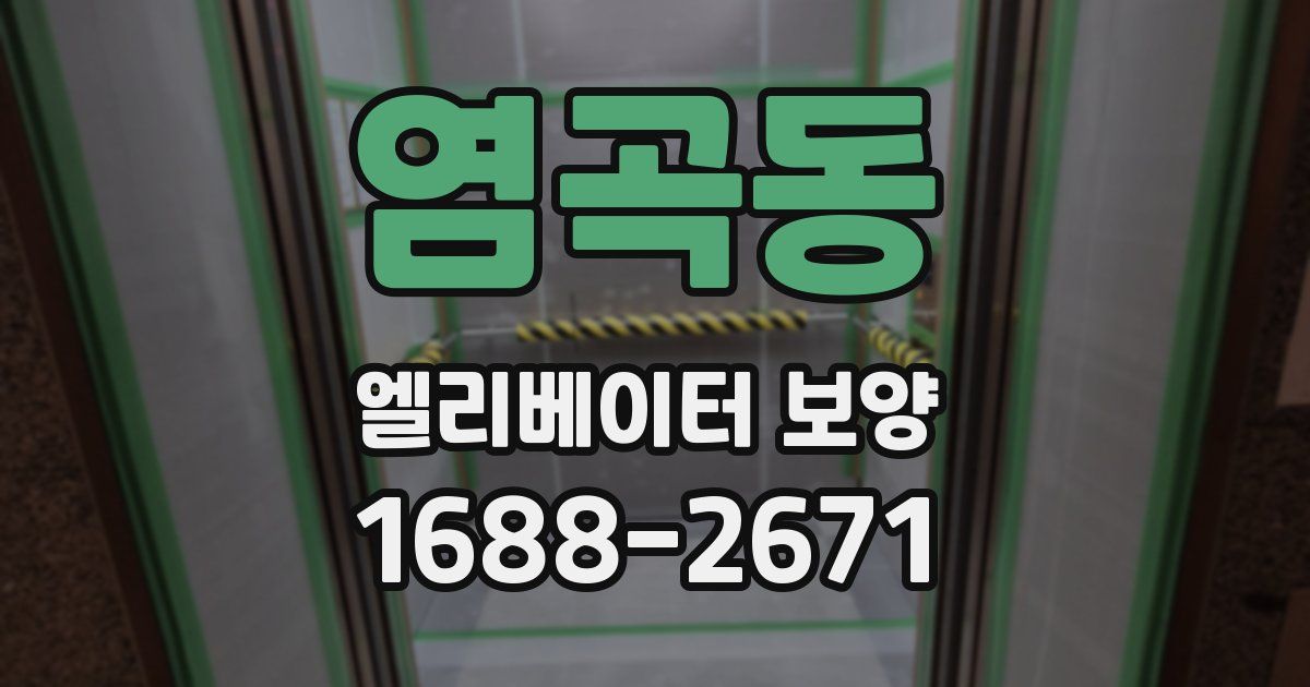 염곡동 엘리베이터 보양