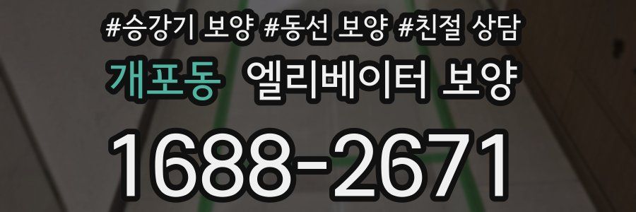 개포동 엘리베이터 보양