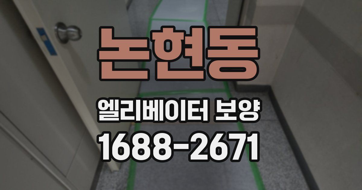 논현동 엘리베이터 보양