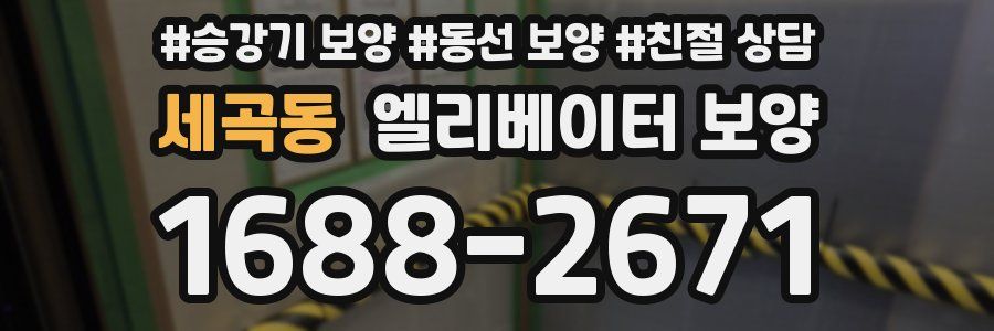 세곡동 엘리베이터 보양