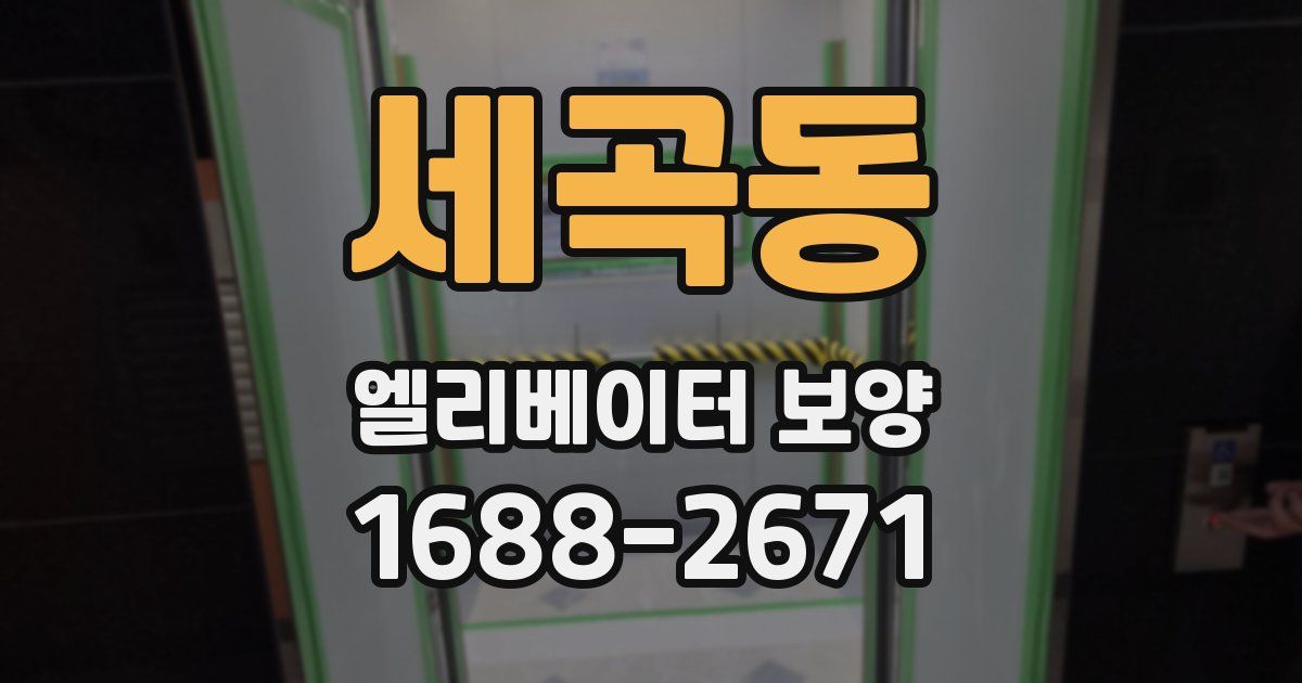 세곡동 엘리베이터 보양