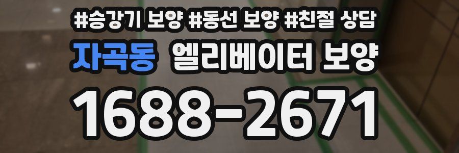 자곡동 엘리베이터 보양
