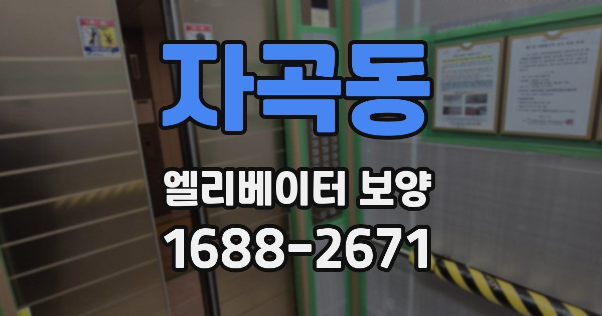 자곡동 엘리베이터 보양
