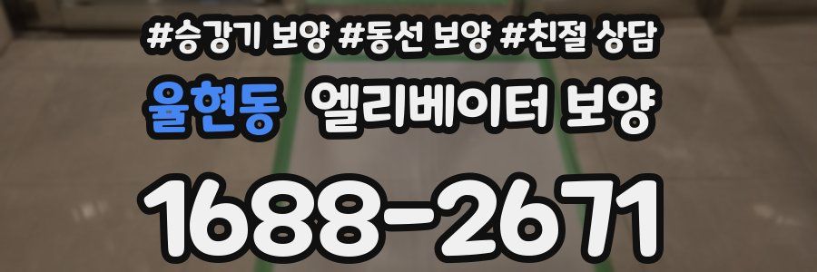 율현동 엘리베이터 보양