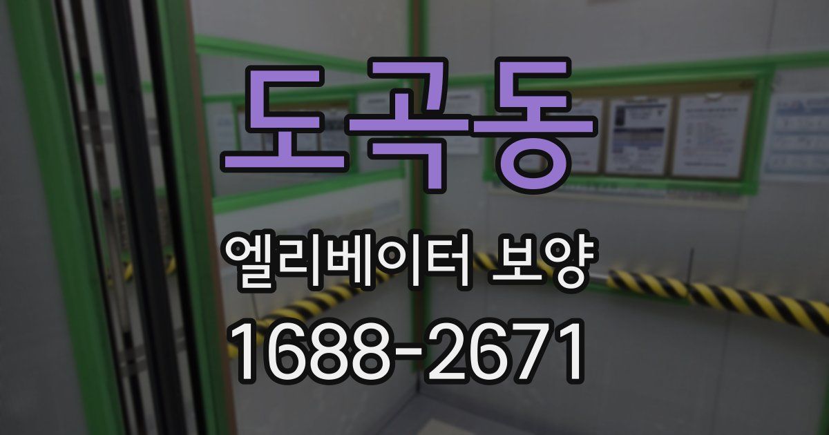 도곡동 엘리베이터 보양