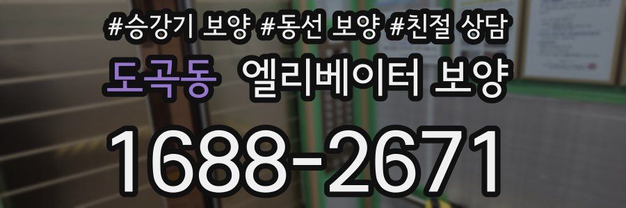 도곡동 엘리베이터 보양