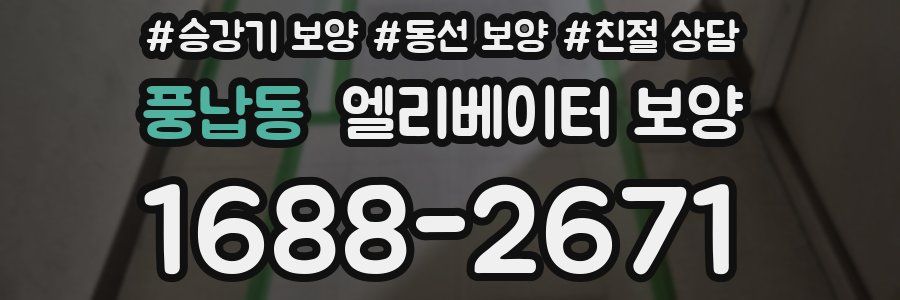 풍납동 엘리베이터 보양