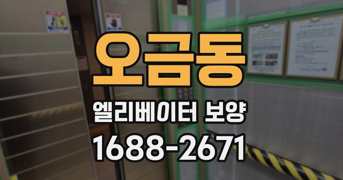 오금동 엘리베이터 보양