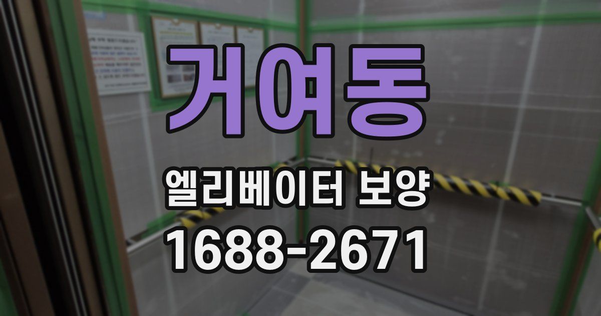 거여동 엘리베이터 보양