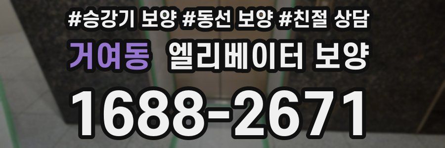 거여동 엘리베이터 보양