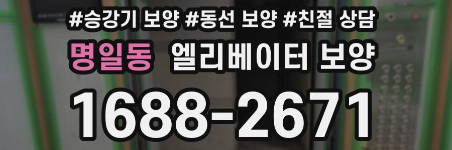 명일동 엘리베이터 보양