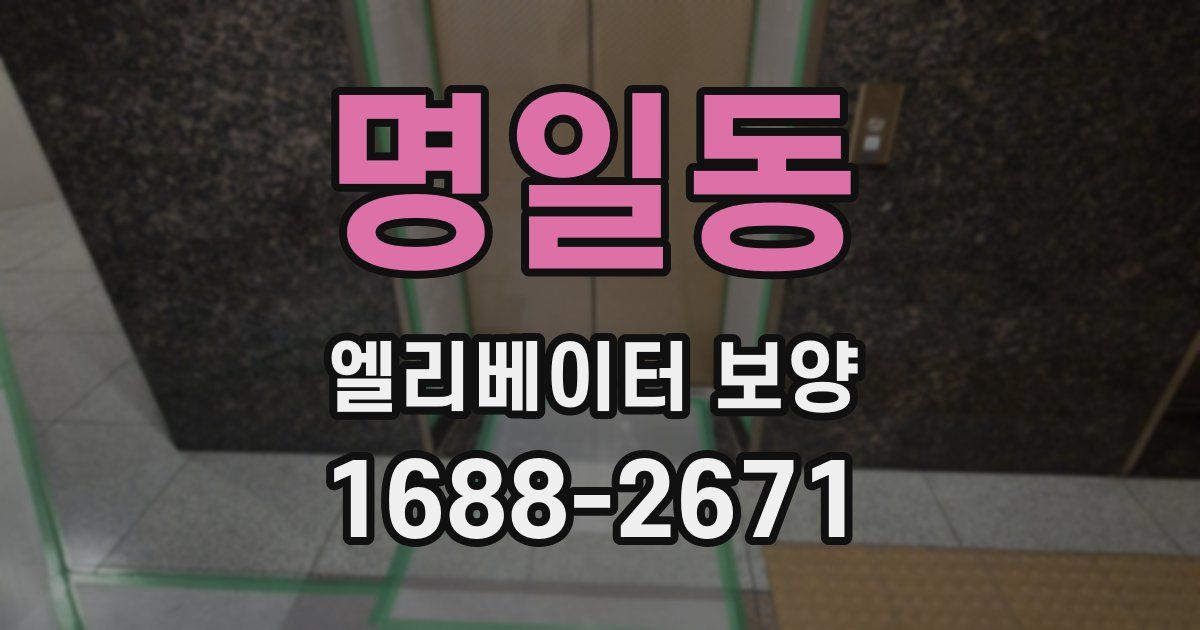 명일동 엘리베이터 보양