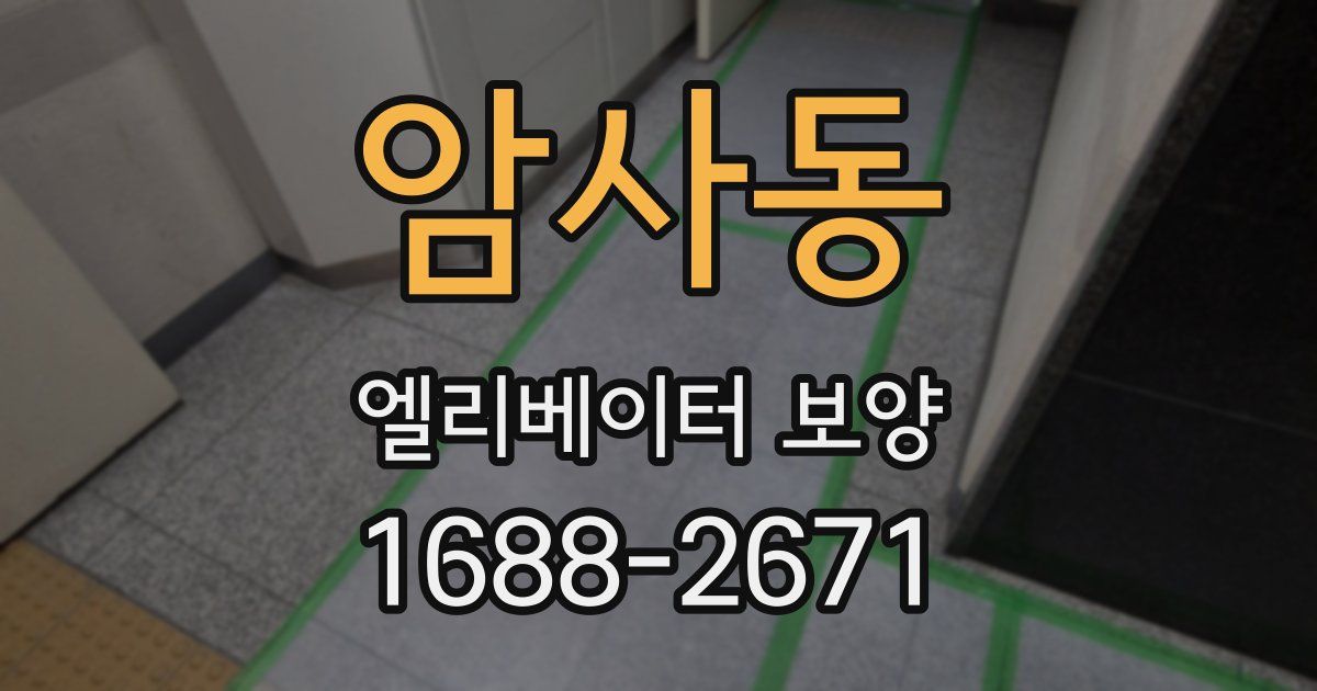 암사동 엘리베이터 보양