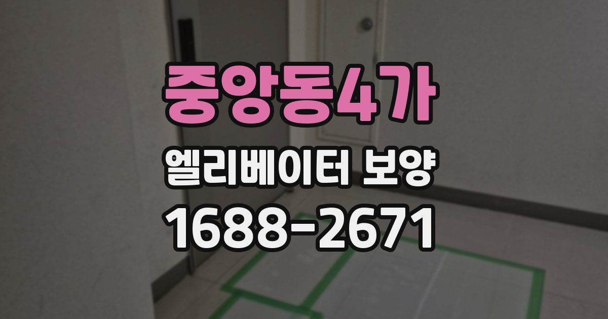 중앙동4가 엘리베이터 보양