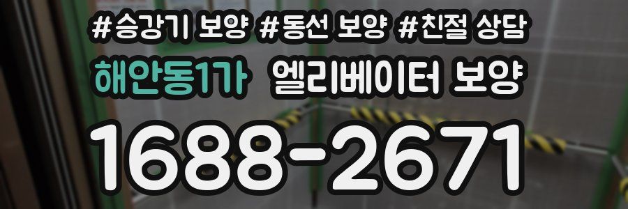 해안동1가 엘리베이터 보양