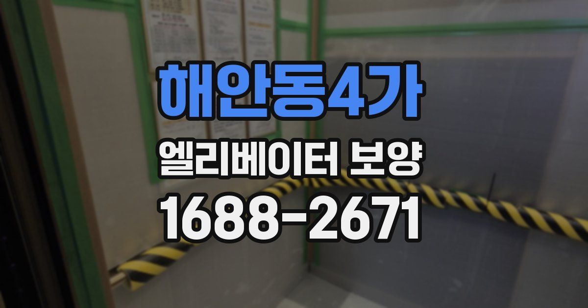 해안동4가 엘리베이터 보양
