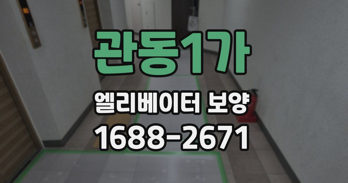 관동1가 엘리베이터 보양