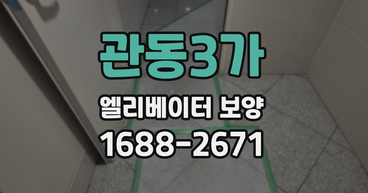 관동3가 엘리베이터 보양