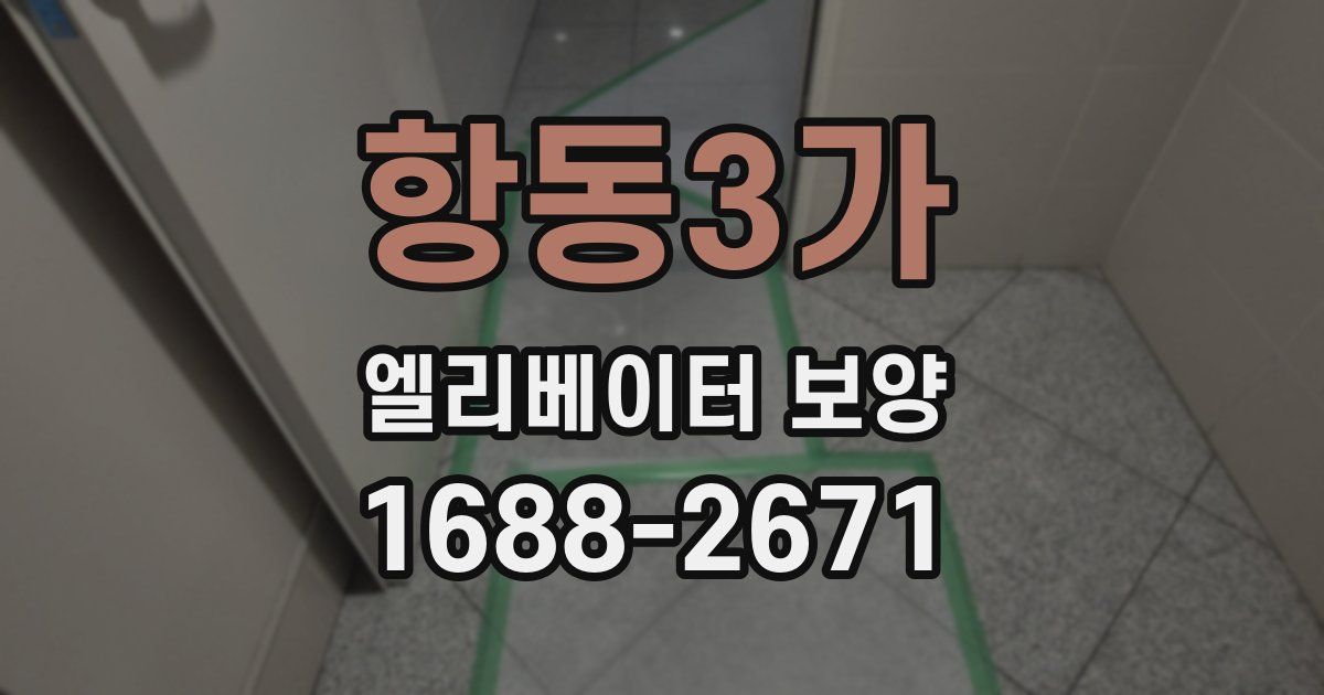 항동3가 엘리베이터 보양