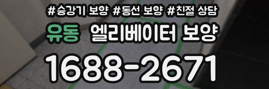 유동 엘리베이터 보양
