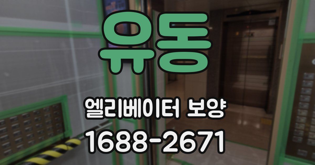 유동 엘리베이터 보양