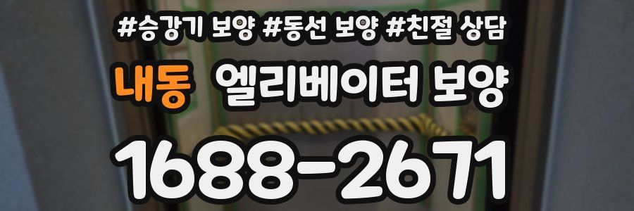 내동 엘리베이터 보양