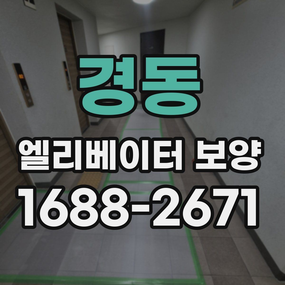 경동 엘리베이터 보양 비용과 자재 선택의 관계
