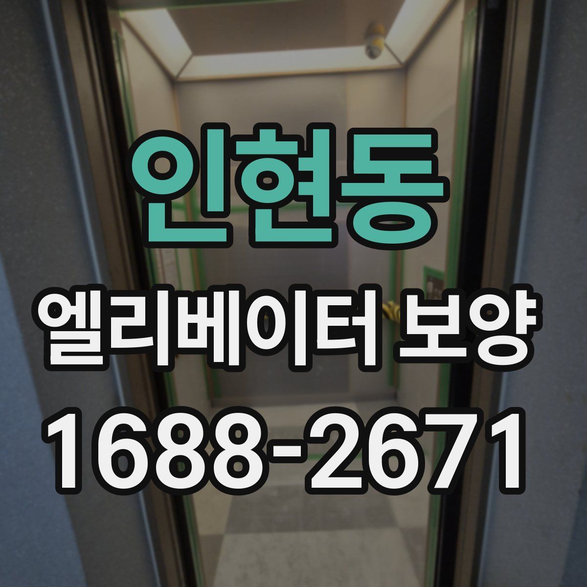 인현동 엘리베이터 보양