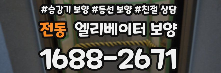 전동 엘리베이터 보양