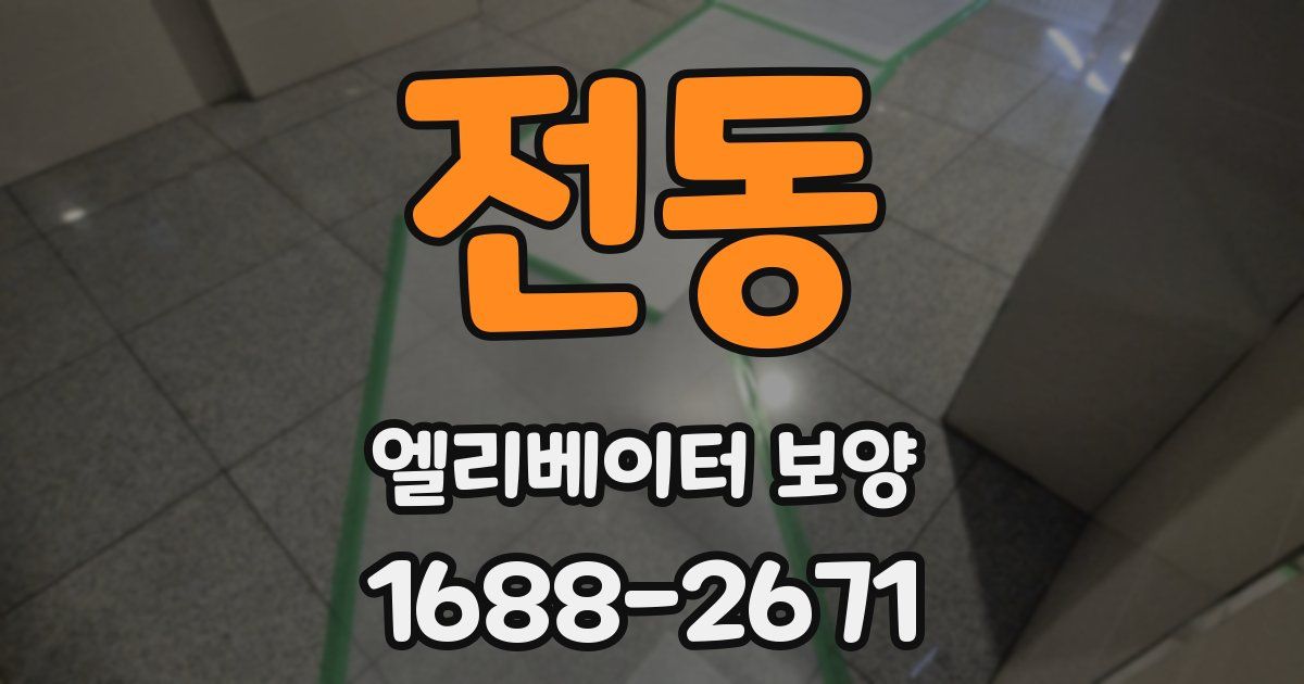 전동 엘리베이터 보양
