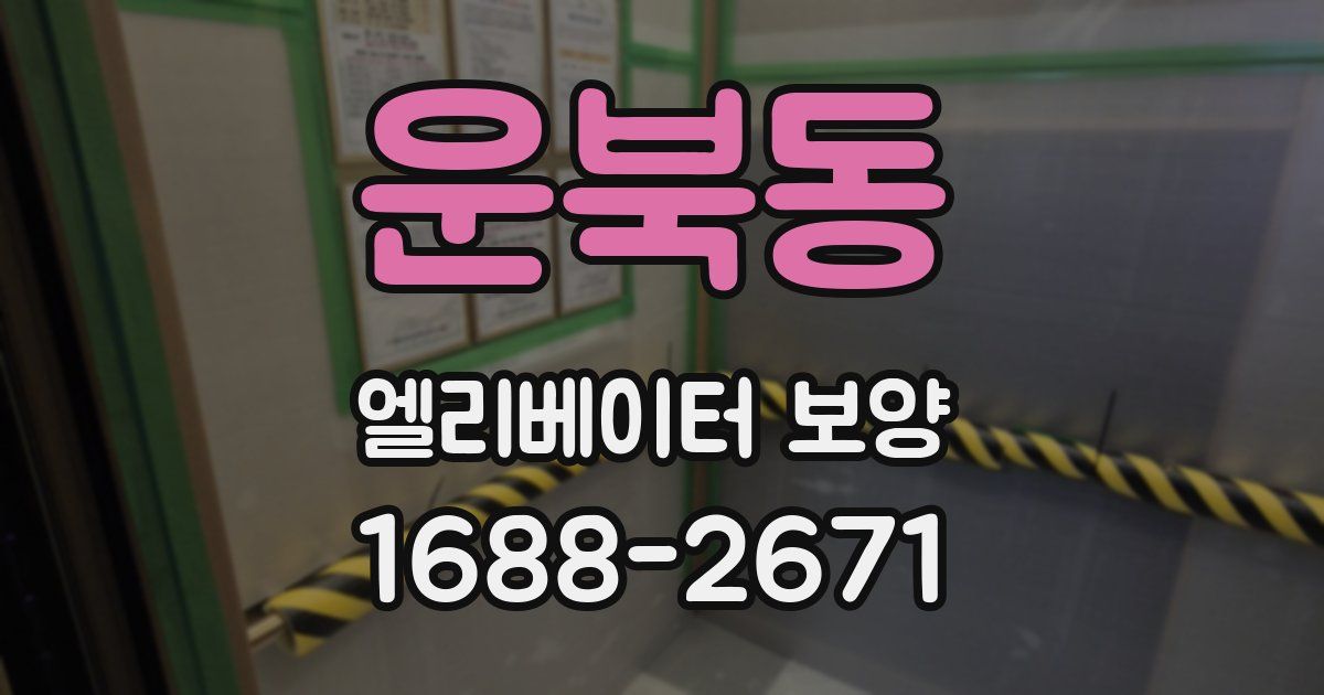 운북동 엘리베이터 보양