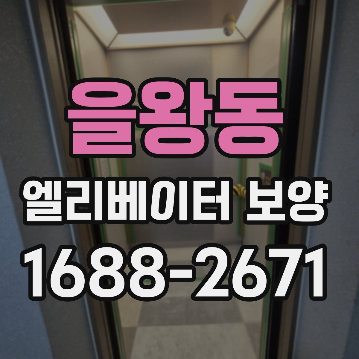 을왕동 엘리베이터 보양