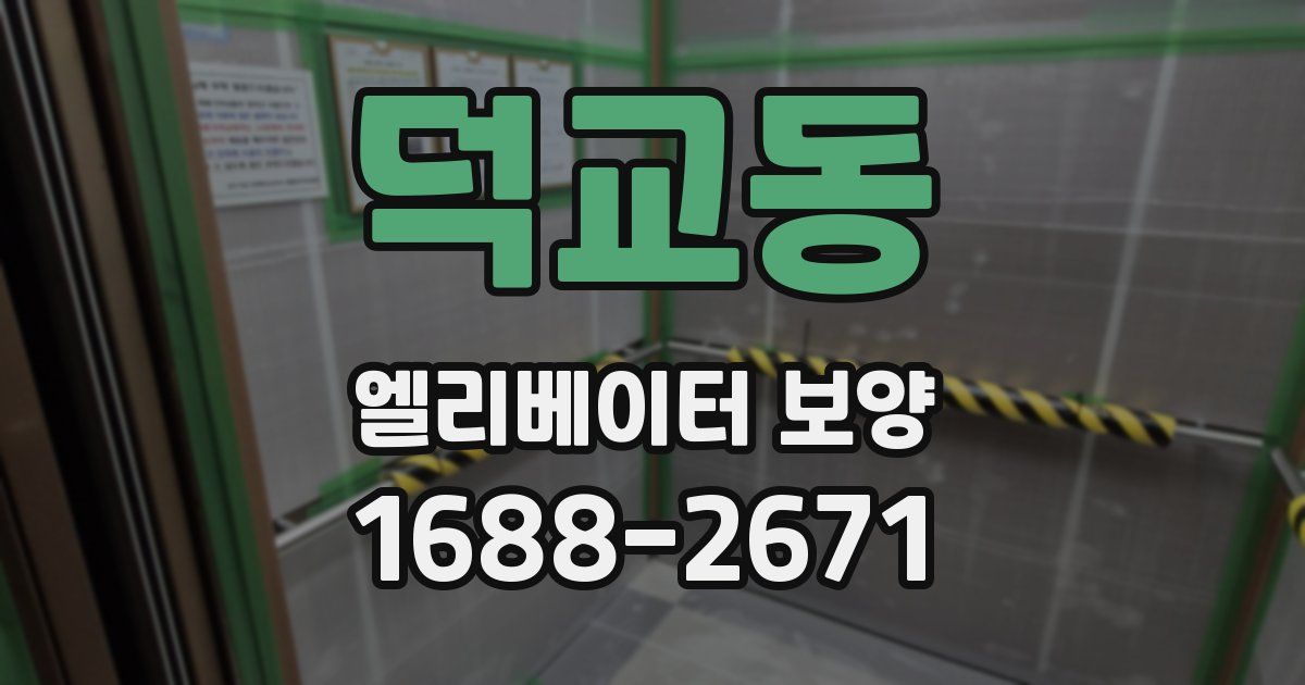 덕교동 엘리베이터 보양