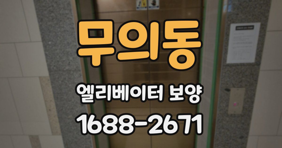 무의동 엘리베이터 보양