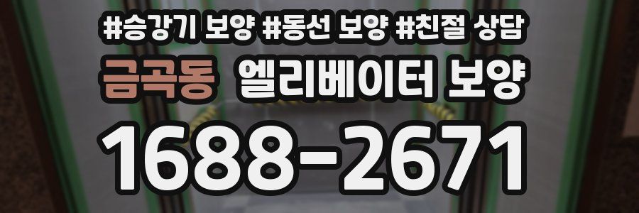 금곡동 엘리베이터 보양